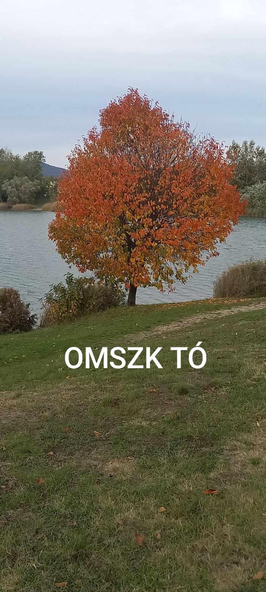 Zen Apartman Budakalász Buitenkant foto